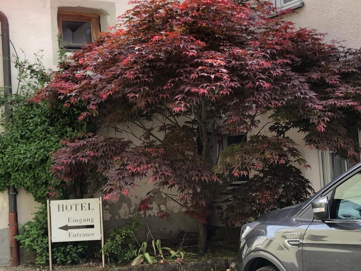 Hotel Kastanienbaum 黑措根奥拉赫 外观 照片